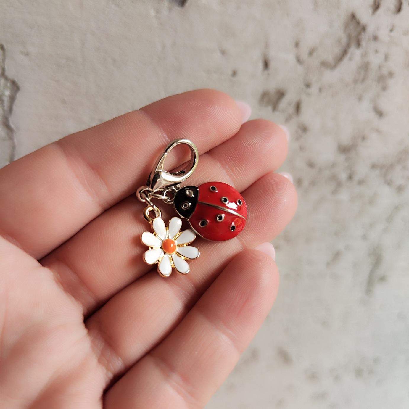 DOWIESZKA DO ZAMKA BIEDRONKA 1