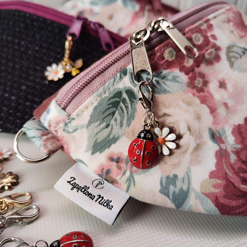 DOWIESZKA DO ZAMKA BIEDRONKA 0