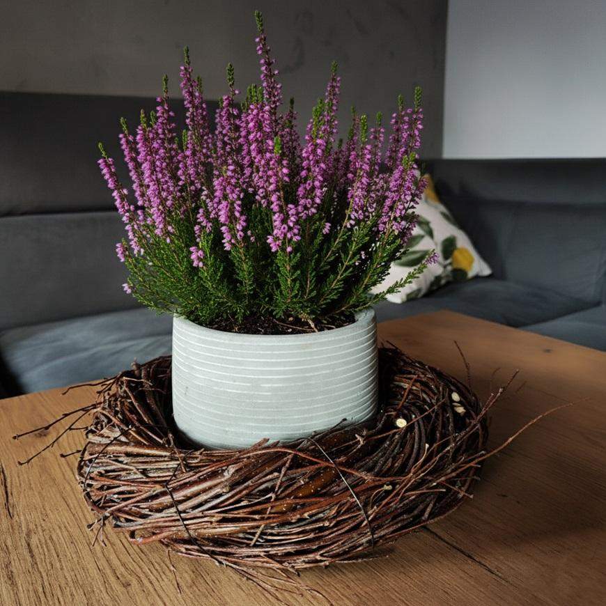 NATURALNY WIANEK BRZOZOWY 0