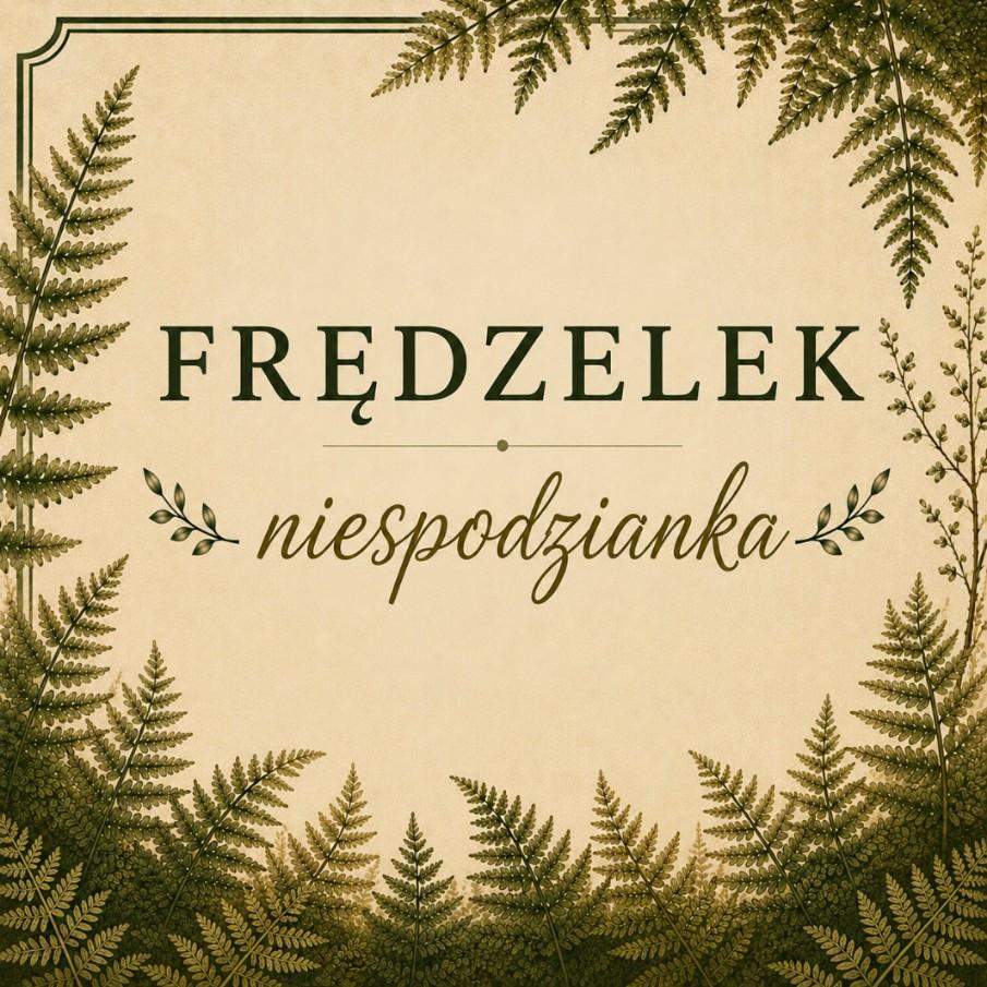 FRĘDZELEK NIESPODZIANKA 0