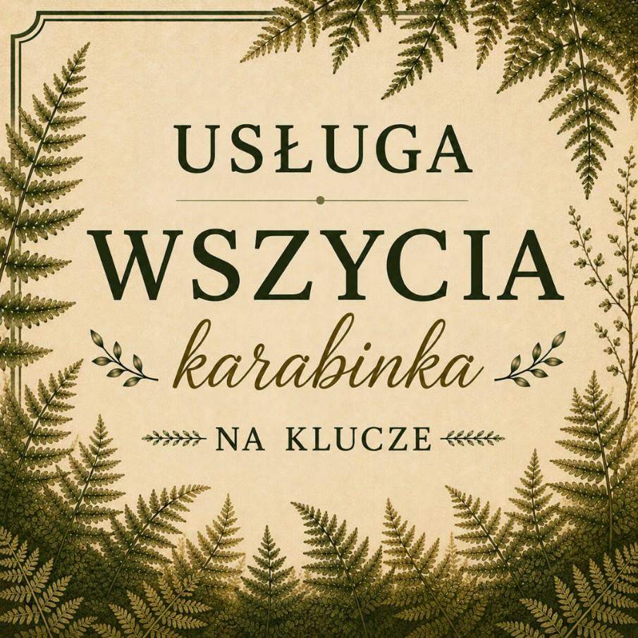 USŁUGA WSZYCIA KARABINKA NA KLUCZE 0